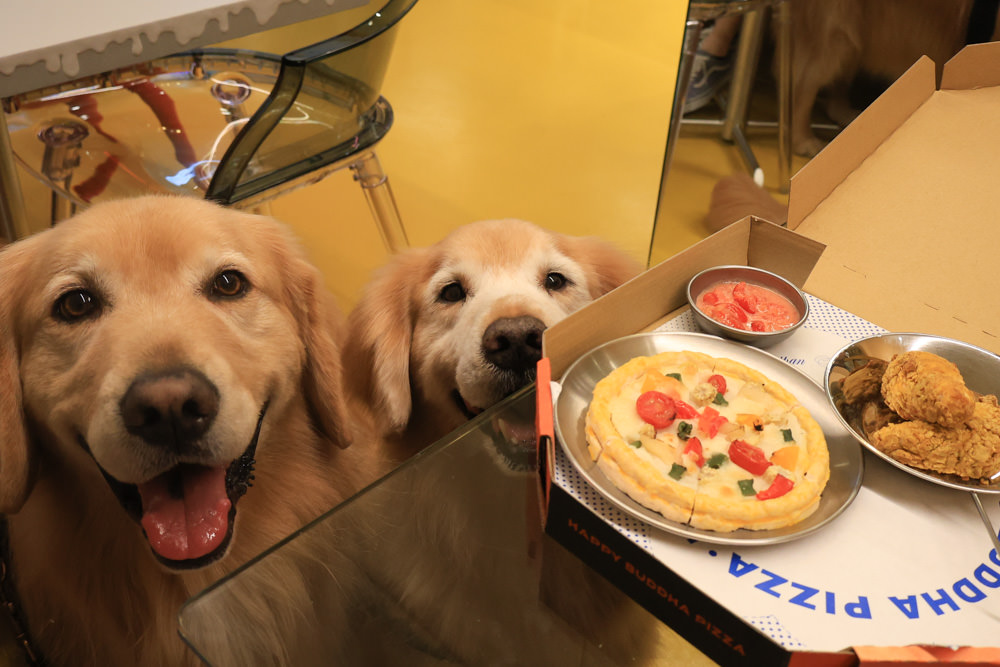 台北中山區美食｜批薩謎勒 Happy Buddha Pizza。寵物友善餐廳、窯烤披薩、還有狗狗餐點寵物炸雞披薩！！