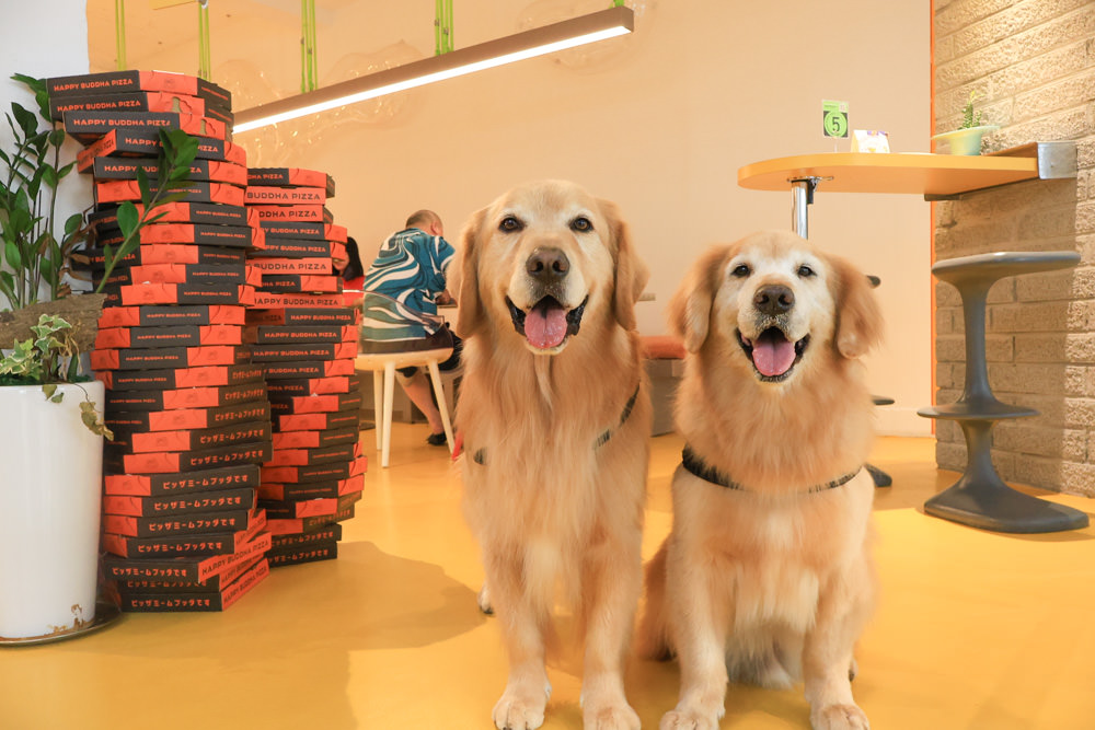 台北中山區美食｜批薩謎勒 Happy Buddha Pizza。寵物友善餐廳、窯烤披薩、還有狗狗餐點寵物炸雞披薩！！