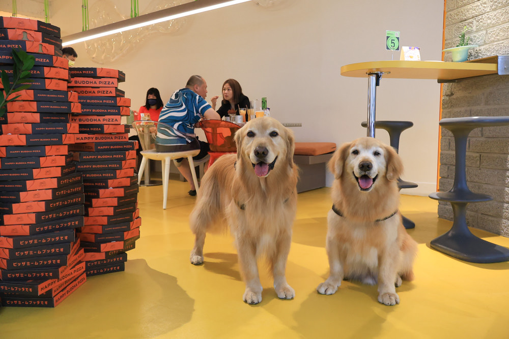 台北中山區美食｜批薩謎勒 Happy Buddha Pizza。寵物友善餐廳、窯烤披薩、還有狗狗餐點寵物炸雞披薩！！