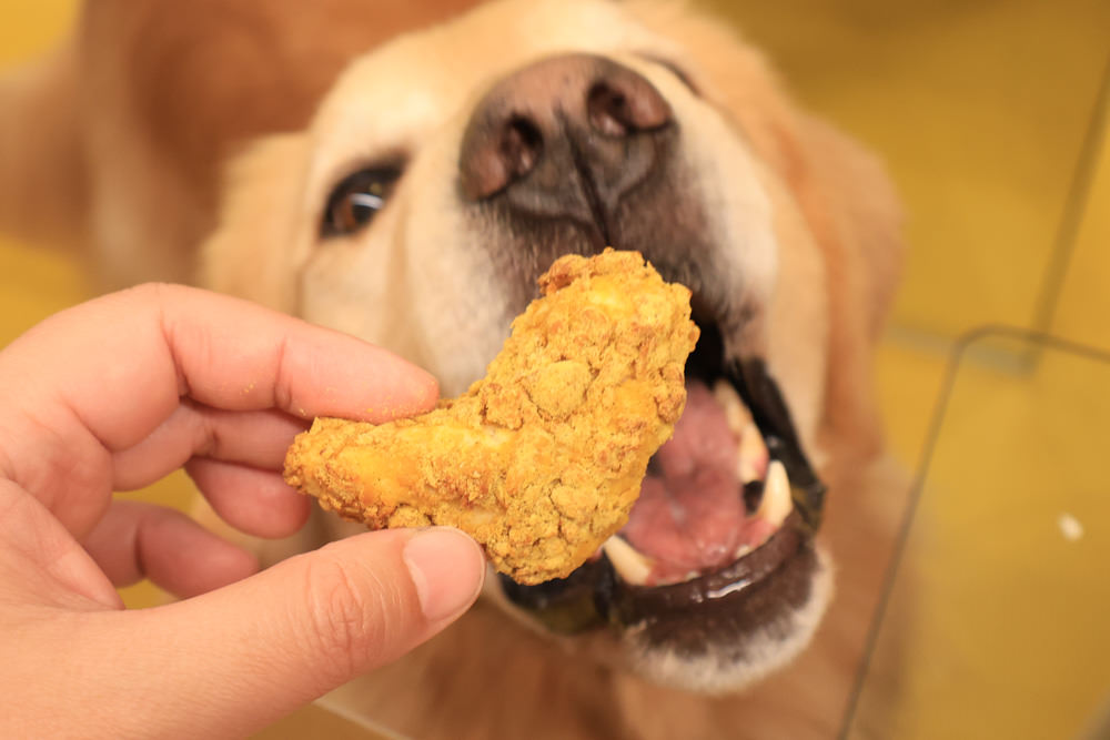 台北中山區美食｜批薩謎勒 Happy Buddha Pizza。寵物友善餐廳、窯烤披薩、還有狗狗餐點寵物炸雞披薩！！