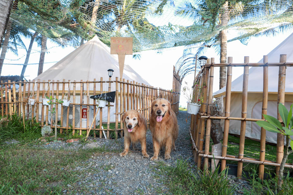 台東東河海景第一排|拉法鋼琴咖啡屋Rafa Cafe。免裝備懶人露營、寵物友善、豪華露營、東部免搭帳、銀河日出絕美海景一次滿足! - 第1張圖 台東東河海景第一排|拉法鋼琴咖啡屋Rafa Cafe。免裝備懶人露營、寵物友善、豪華露營、東部免搭帳、銀河日出絕美海景一次滿足!