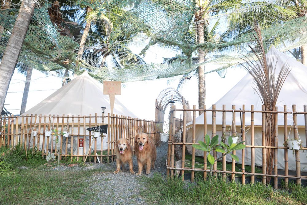 台東東河海景第一排|拉法鋼琴咖啡屋Rafa Cafe。免裝備懶人露營、寵物友善、豪華露營、東部免搭帳、銀河日出絕美海景一次滿足! - 第9張圖 台東東河海景第一排|拉法鋼琴咖啡屋Rafa Cafe。免裝備懶人露營、寵物友善、豪華露營、東部免搭帳、銀河日出絕美海景一次滿足!