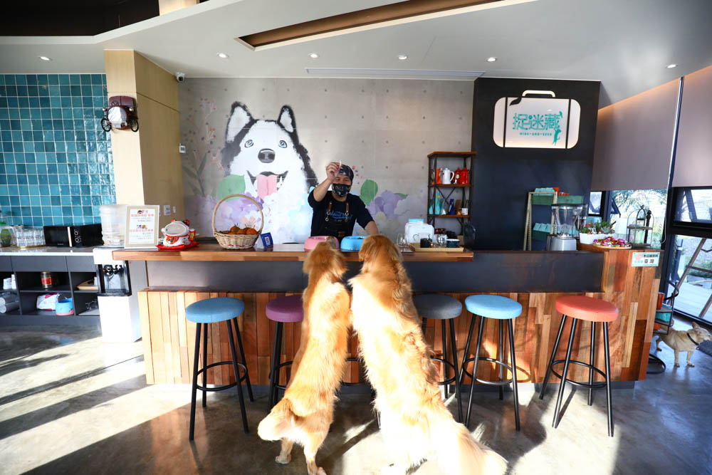 宜蘭美食民宿推薦｜捉迷藏寵物友善民宿、吸貓咖啡館（早午餐、下午茶）。主題星空泳池房、佇立宜蘭平原稻田元野中的清水模建築