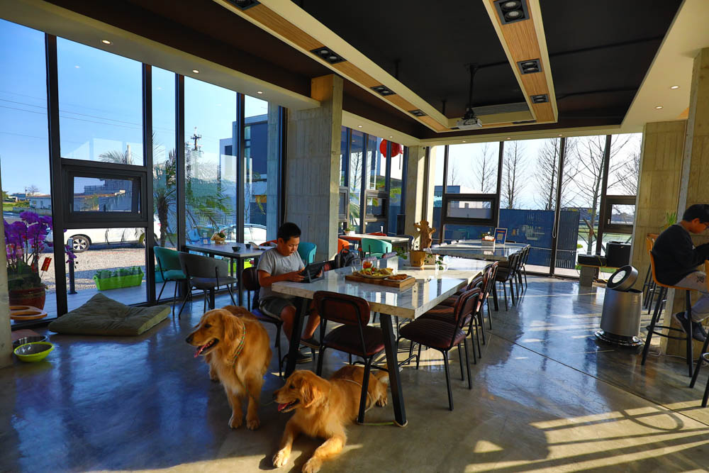 宜蘭美食民宿推薦｜捉迷藏寵物友善民宿、吸貓咖啡館（早午餐、下午茶）。主題星空泳池房、佇立宜蘭平原稻田元野中的清水模建築