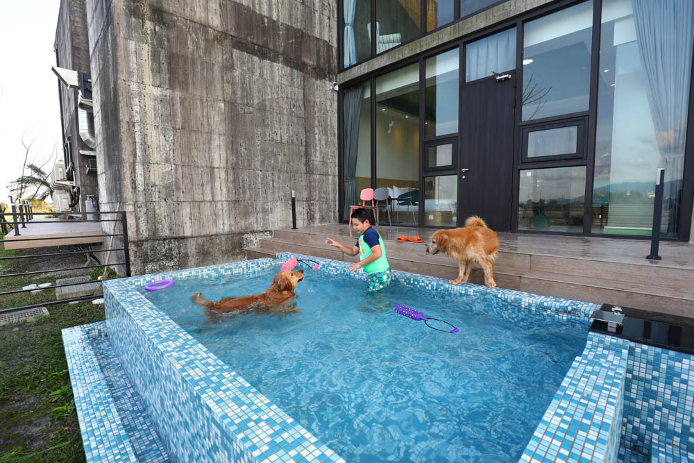 宜蘭美食民宿推薦｜捉迷藏寵物友善民宿、吸貓咖啡館（早午餐、下午茶）。主題星空泳池房、佇立宜蘭平原稻田元野中的清水模建築