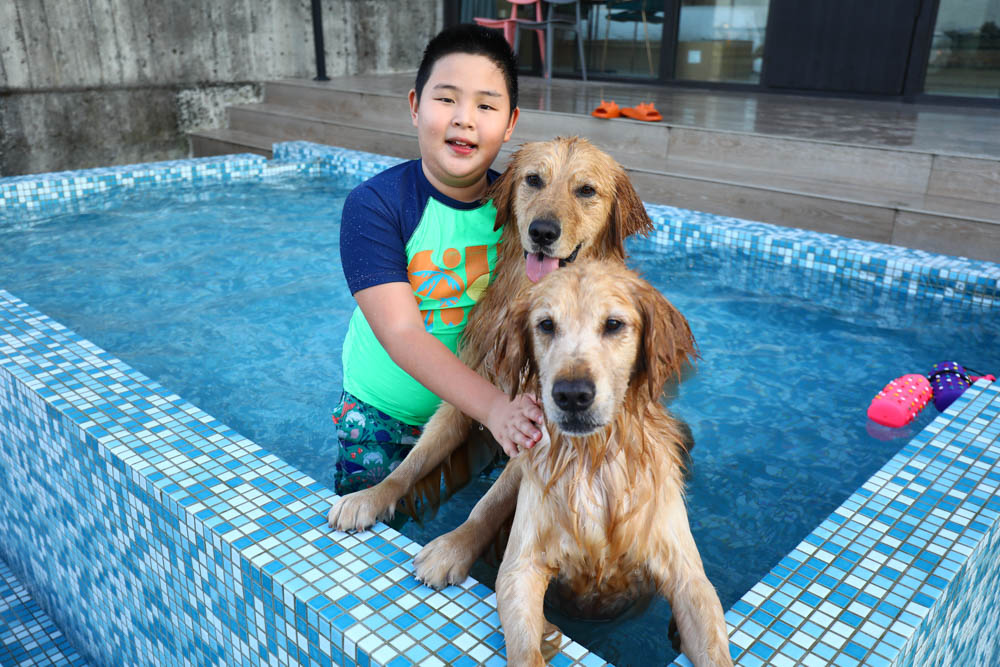 宜蘭美食民宿推薦｜捉迷藏寵物友善民宿、吸貓咖啡館（早午餐、下午茶）。主題星空泳池房、佇立宜蘭平原稻田元野中的清水模建築