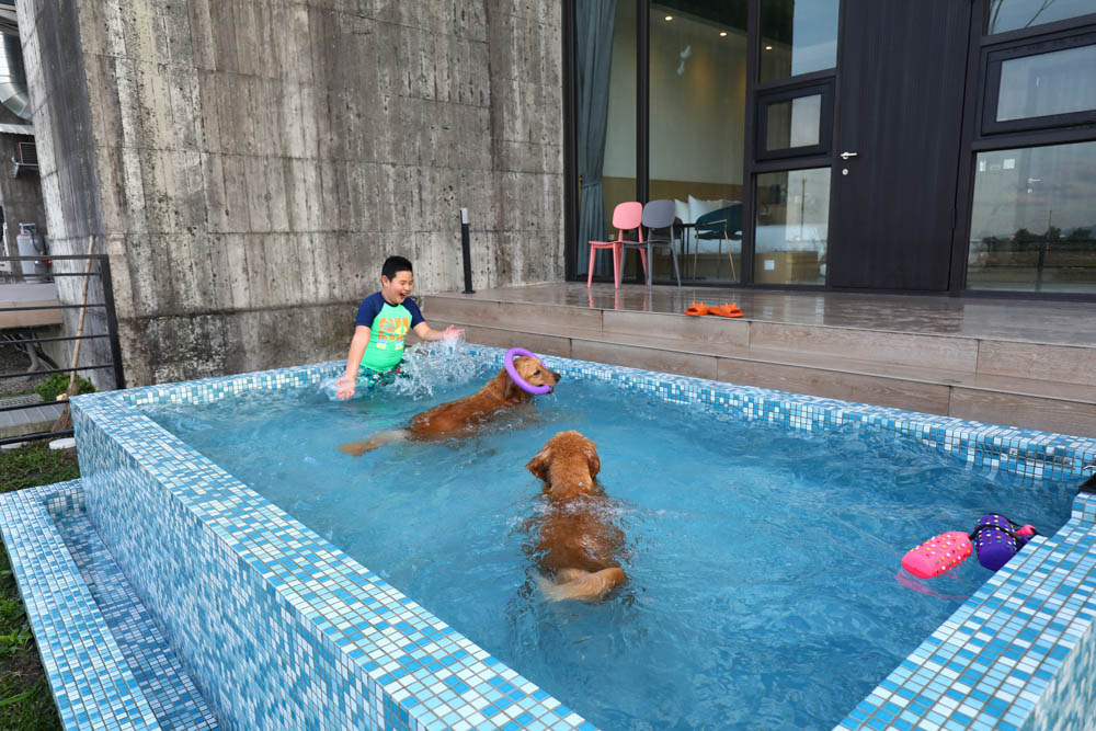 宜蘭美食民宿推薦｜捉迷藏寵物友善民宿、吸貓咖啡館（早午餐、下午茶）。主題星空泳池房、佇立宜蘭平原稻田元野中的清水模建築