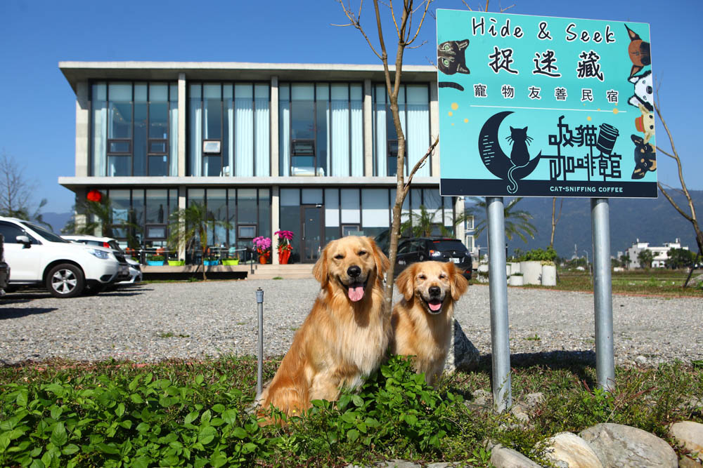宜蘭美食民宿推薦｜捉迷藏寵物友善民宿、吸貓咖啡館（早午餐、下午茶）。主題星空泳池房、佇立宜蘭平原稻田元野中的清水模建築