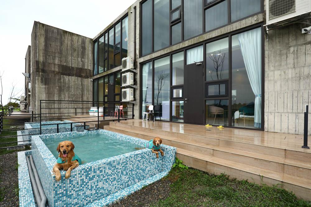 宜蘭美食民宿推薦｜捉迷藏寵物友善民宿、吸貓咖啡館（早午餐、下午茶）。主題星空泳池房、佇立宜蘭平原稻田元野中的清水模建築