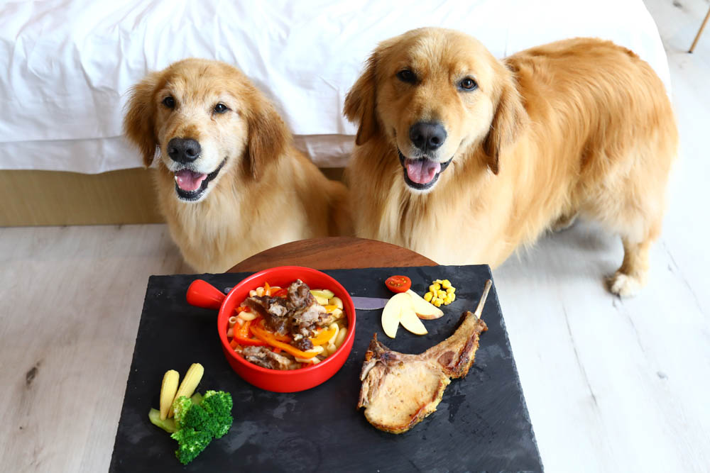 宜蘭美食民宿推薦｜捉迷藏寵物友善民宿、吸貓咖啡館（早午餐、下午茶）。主題星空泳池房、佇立宜蘭平原稻田元野中的清水模建築