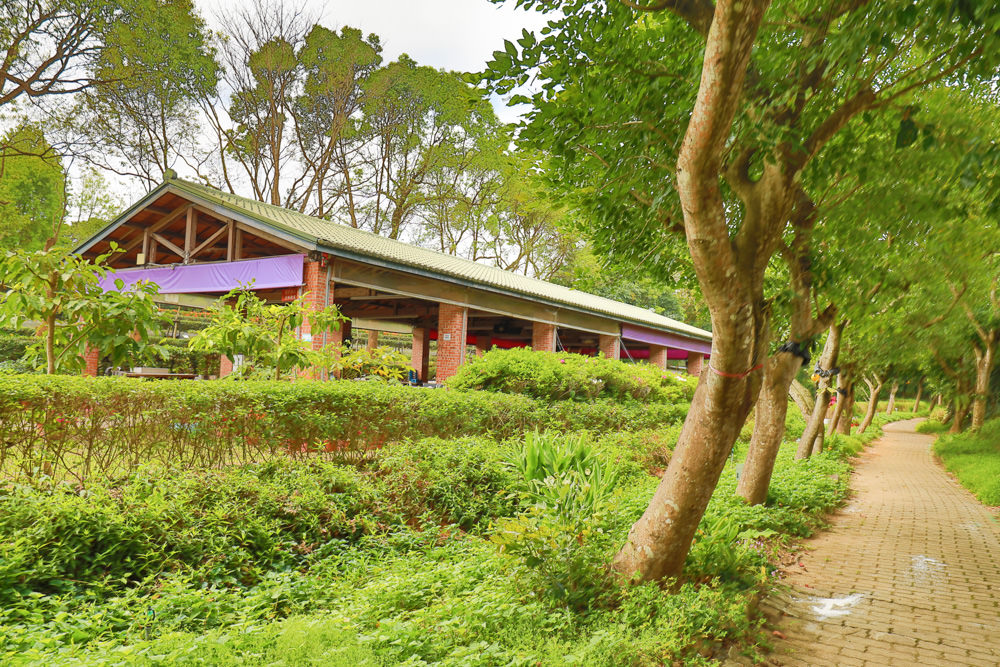 新北景點|新店文山農場。寵物友善景點、新北賞螢賞花秘境、露營區、四季皆有不同美景花卉 - 第12張圖 新北景點|新店文山農場。寵物友善景點、新北賞螢賞花秘境、露營區、四季皆有不同美景花卉