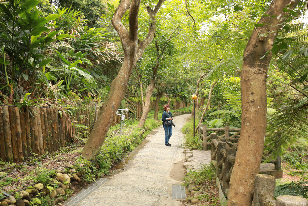 新北景點|新店文山農場。寵物友善景點、新北賞螢賞花秘境、露營區、四季皆有不同美景花卉 - 第14張圖 新北景點|新店文山農場。寵物友善景點、新北賞螢賞花秘境、露營區、四季皆有不同美景花卉