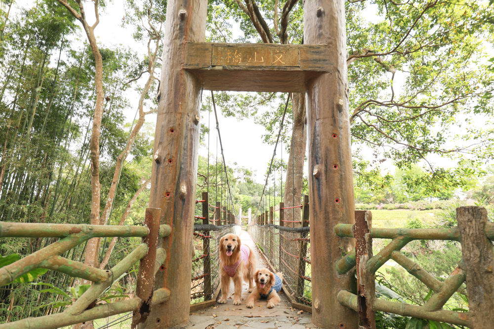 新北景點|新店文山農場。寵物友善景點、新北賞螢賞花秘境、露營區、四季皆有不同美景花卉 - 第16張圖 新北景點|新店文山農場。寵物友善景點、新北賞螢賞花秘境、露營區、四季皆有不同美景花卉