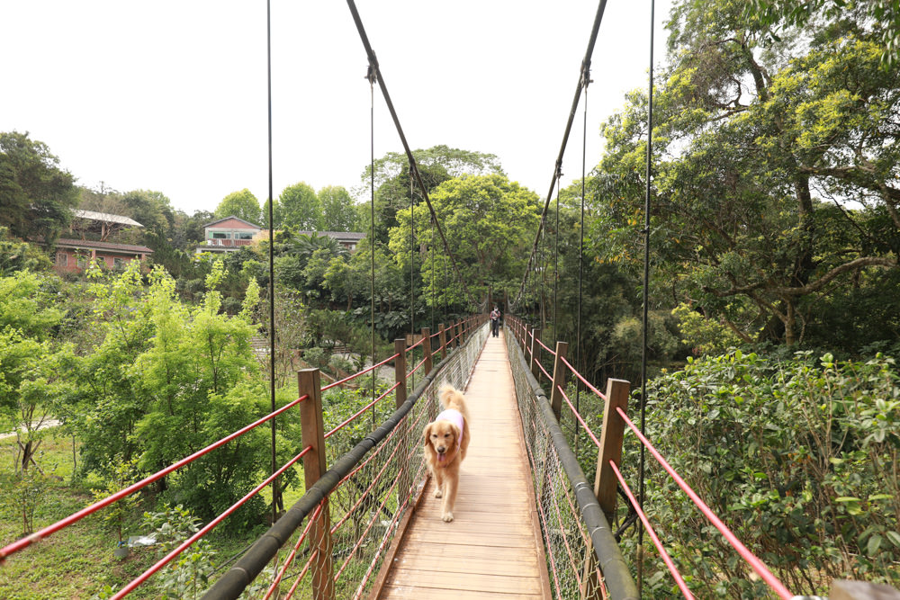 新北景點|新店文山農場。寵物友善景點、新北賞螢賞花秘境、露營區、四季皆有不同美景花卉 - 第17張圖 新北景點|新店文山農場。寵物友善景點、新北賞螢賞花秘境、露營區、四季皆有不同美景花卉