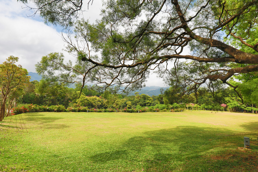 新北景點|新店文山農場。寵物友善景點、新北賞螢賞花秘境、露營區、四季皆有不同美景花卉 - 第25張圖 新北景點|新店文山農場。寵物友善景點、新北賞螢賞花秘境、露營區、四季皆有不同美景花卉