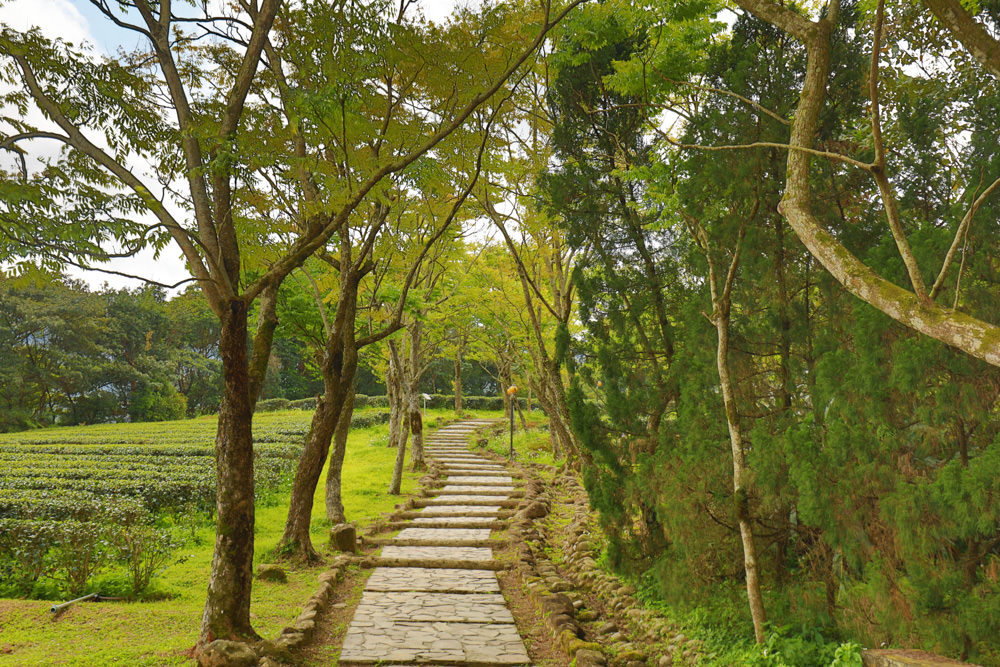新北景點|新店文山農場。寵物友善景點、新北賞螢賞花秘境、露營區、四季皆有不同美景花卉 - 第28張圖 新北景點|新店文山農場。寵物友善景點、新北賞螢賞花秘境、露營區、四季皆有不同美景花卉