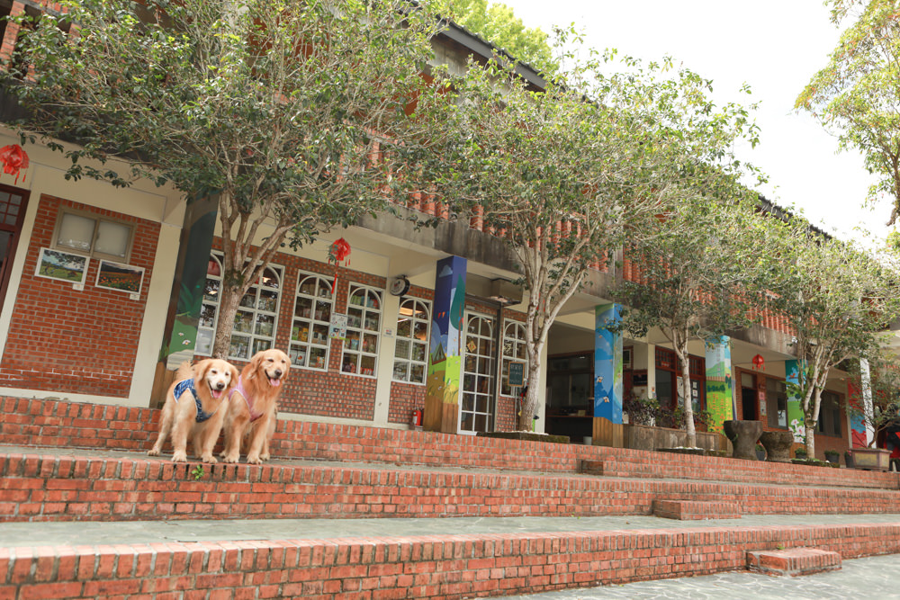 新北景點|新店文山農場。寵物友善景點、新北賞螢賞花秘境、露營區、四季皆有不同美景花卉 - 第32張圖 新北景點|新店文山農場。寵物友善景點、新北賞螢賞花秘境、露營區、四季皆有不同美景花卉