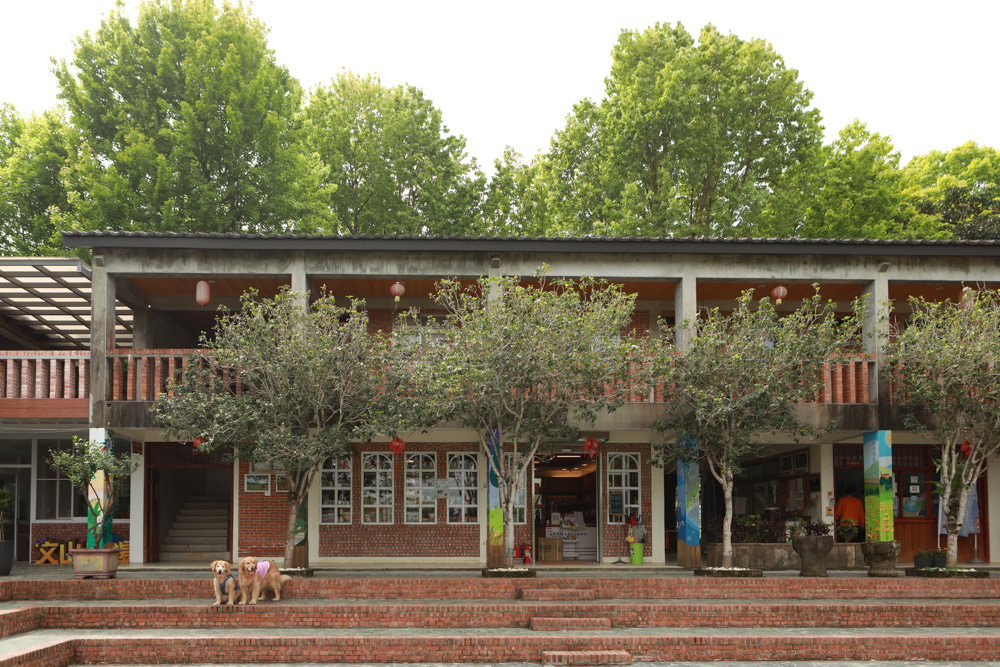 新北景點|新店文山農場。寵物友善景點、新北賞螢賞花秘境、露營區、四季皆有不同美景花卉 - 第34張圖 新北景點|新店文山農場。寵物友善景點、新北賞螢賞花秘境、露營區、四季皆有不同美景花卉