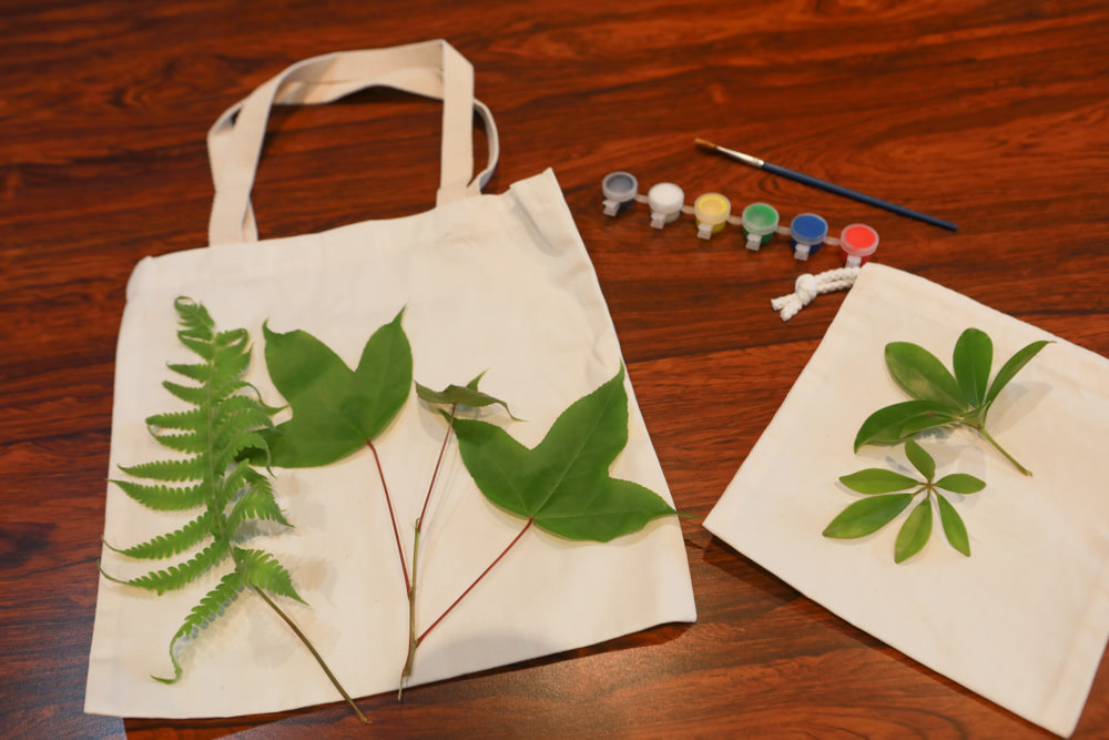 新北景點|新店文山農場。寵物友善景點、新北賞螢賞花秘境、露營區、四季皆有不同美景花卉 - 第44張圖 新北景點|新店文山農場。寵物友善景點、新北賞螢賞花秘境、露營區、四季皆有不同美景花卉