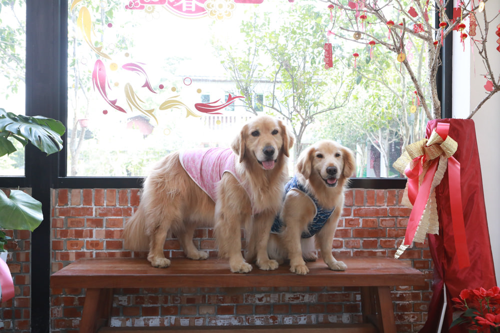新店美食｜文山初芯景觀餐廳。寵物友善餐廳、新店文山農場內的老上海功夫菜
