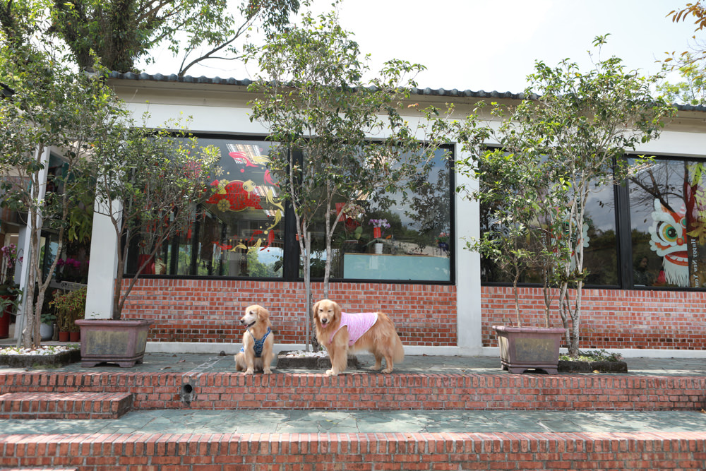 新店美食｜文山初芯景觀餐廳。寵物友善餐廳、新店文山農場內的老上海功夫菜
