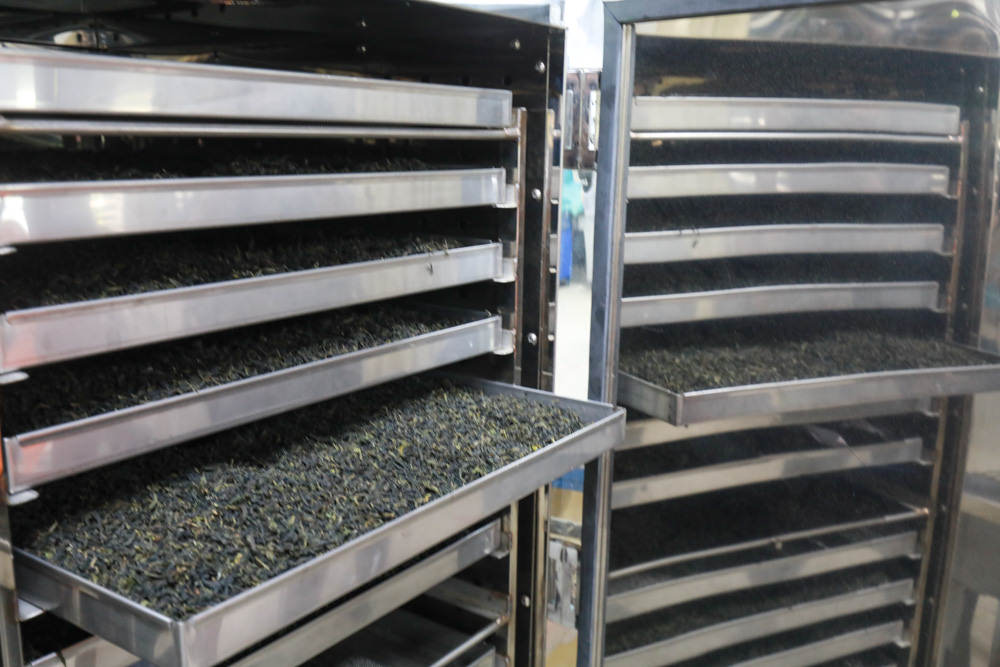 新北景點|新店文山農場。寵物友善景點、新北賞螢賞花秘境、露營區、四季皆有不同美景花卉 - 第48張圖 新北景點|新店文山農場。寵物友善景點、新北賞螢賞花秘境、露營區、四季皆有不同美景花卉