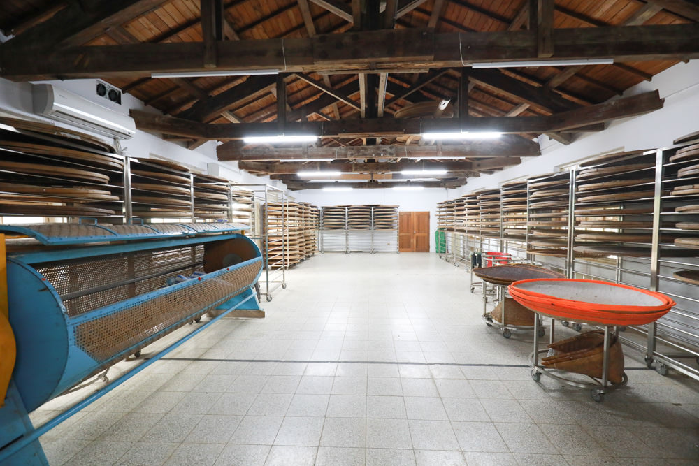 新北景點|新店文山農場。寵物友善景點、新北賞螢賞花秘境、露營區、四季皆有不同美景花卉 - 第49張圖 新北景點|新店文山農場。寵物友善景點、新北賞螢賞花秘境、露營區、四季皆有不同美景花卉