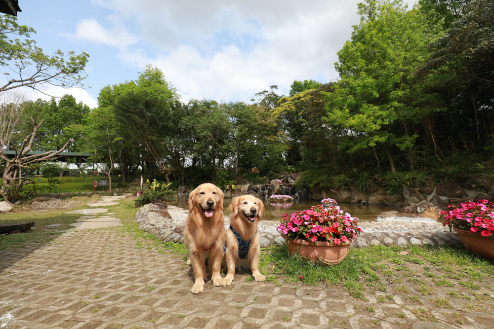 新北景點|新店文山農場。寵物友善景點、新北賞螢賞花秘境、露營區、四季皆有不同美景花卉 - 第56張圖 新北景點|新店文山農場。寵物友善景點、新北賞螢賞花秘境、露營區、四季皆有不同美景花卉