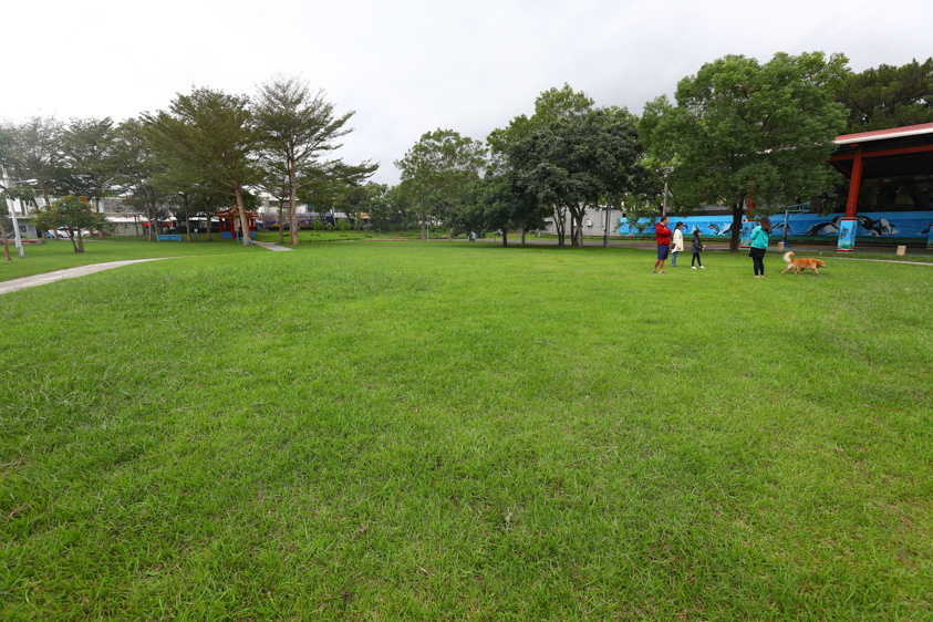 花蓮新城景點｜新城天主堂。日本神社改建的神秘百年教堂、綠意盎然的諾亞方舟