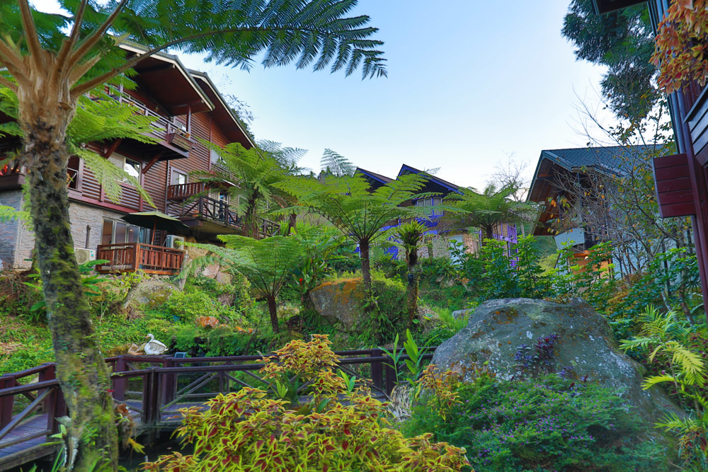 南投溪頭住宿|溪頭新明山木屋渡假村。寵物友善民宿、杉林溪住宿、歐式小木屋一泊二食 - 第13張圖 南投溪頭住宿|溪頭新明山木屋渡假村。寵物友善民宿、杉林溪住宿、歐式小木屋一泊二食