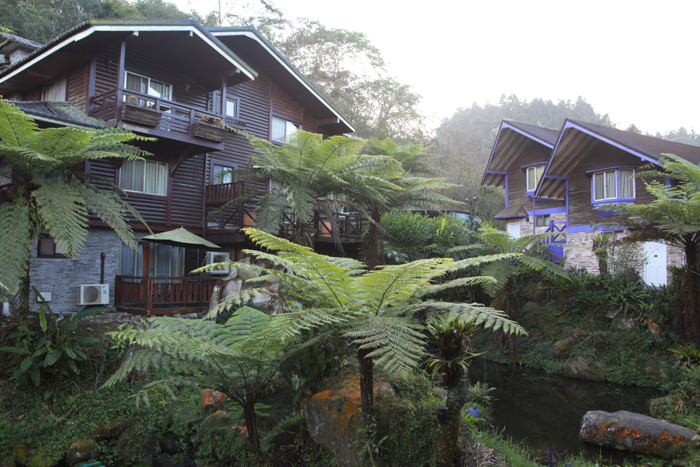 南投溪頭住宿|溪頭新明山木屋渡假村。寵物友善民宿、杉林溪住宿、歐式小木屋一泊二食 - 第6張圖 南投溪頭住宿|溪頭新明山木屋渡假村。寵物友善民宿、杉林溪住宿、歐式小木屋一泊二食