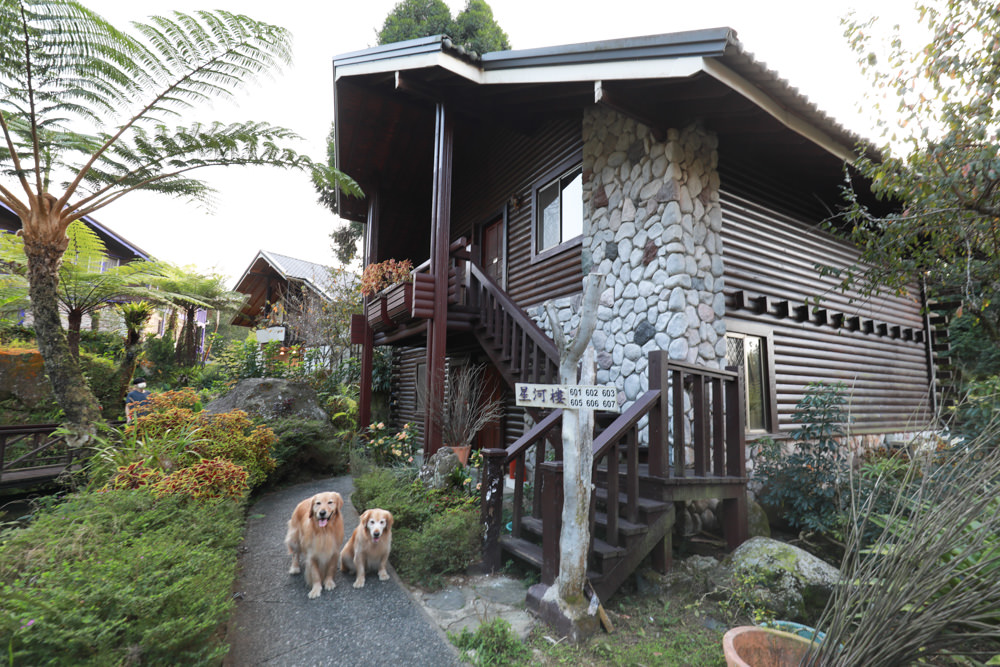 南投溪頭住宿|溪頭新明山木屋渡假村。寵物友善民宿、杉林溪住宿、歐式小木屋一泊二食 - 第9張圖 南投溪頭住宿|溪頭新明山木屋渡假村。寵物友善民宿、杉林溪住宿、歐式小木屋一泊二食