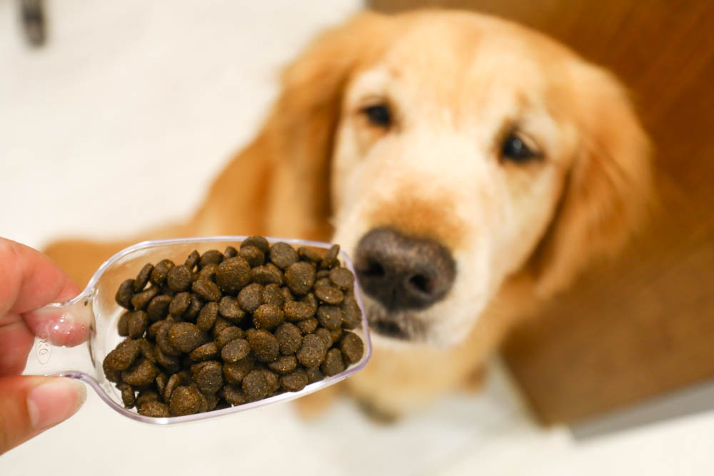 寵物|新萃NutriSource鮮肉天然寵糧。鹿肉餐+超級食物、極低敏無穀配方、WDJ+DFA星級推薦 - 第9張圖 寵物|新萃NutriSource鮮肉天然寵糧。鹿肉餐+超級食物、極低敏無穀配方、WDJ+DFA星級推薦