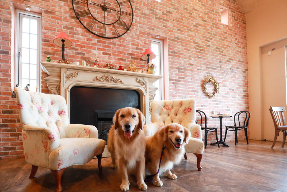 新竹新豐景點｜Chez moi 88-2 來我家吧。粉紅歐風夢幻甜品屋、甜點咖啡專賣店、新竹寵物友善餐廳