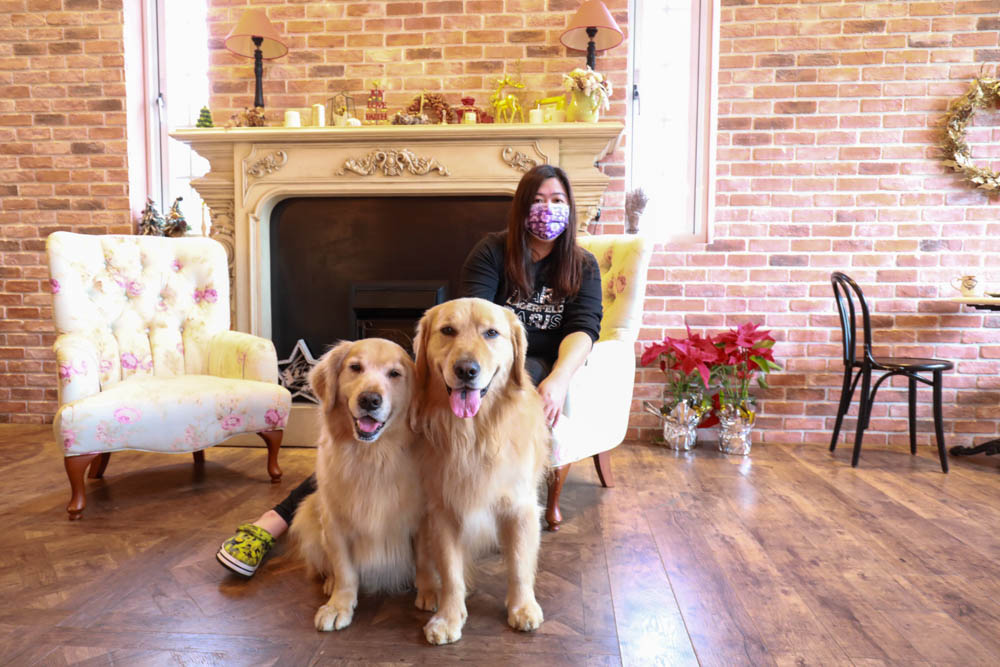 新竹新豐景點｜Chez moi 88-2 來我家吧。粉紅歐風夢幻甜品屋、甜點咖啡專賣店、新竹寵物友善餐廳