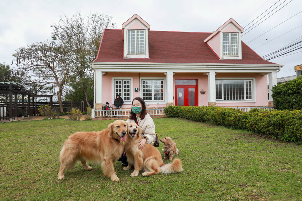 新竹新豐景點｜Chez moi 88-2 來我家吧。粉紅歐風夢幻甜品屋、甜點咖啡專賣店、新竹寵物友善餐廳