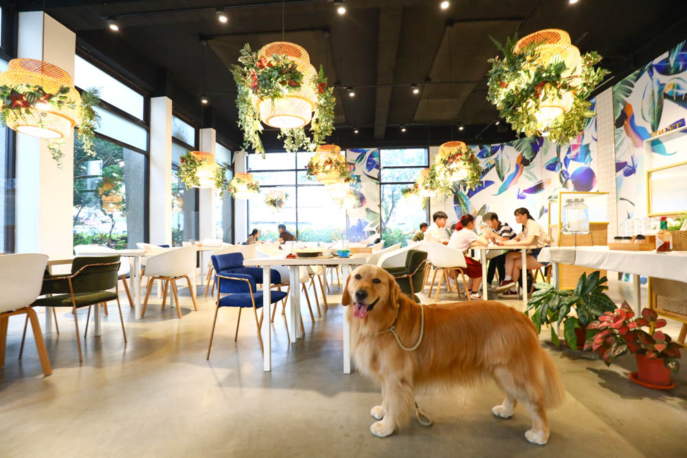 桃園美食｜旅人咖啡館.桃園店。寵物友善餐廳、網美咖啡廳、豐盛早午餐下午茶