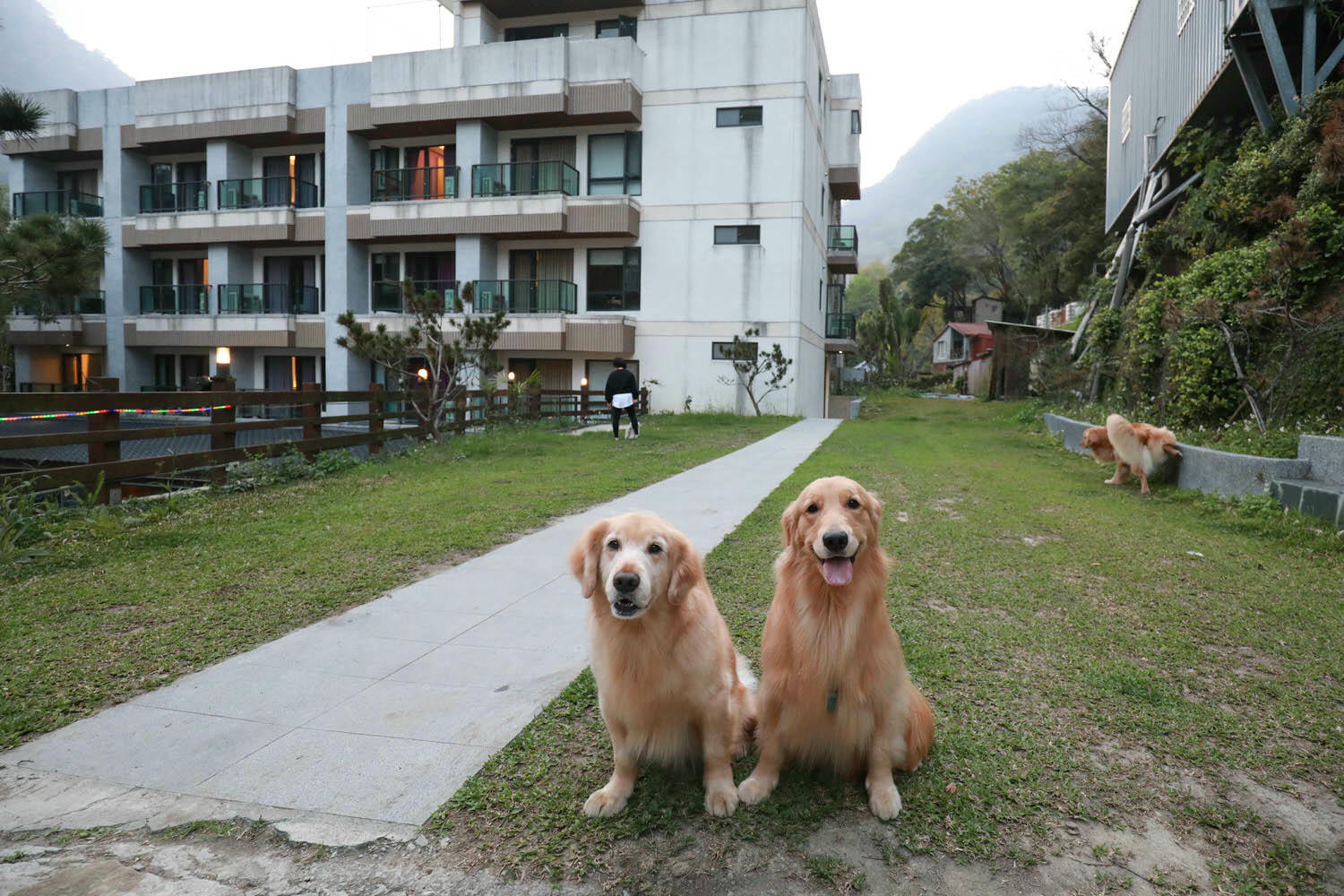 苗栗泰安｜日出溫泉渡假飯店。苗栗寵物友善飯店、一泊二食溫泉美食料理、露天風呂、寵物房型