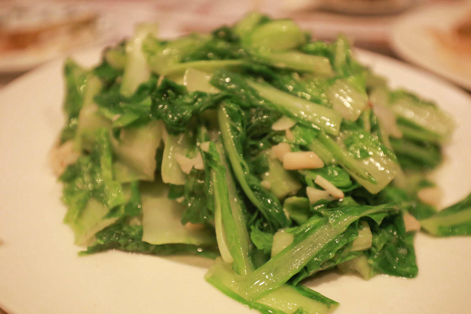 苗栗泰安｜日出溫泉渡假飯店。苗栗寵物友善飯店、一泊二食溫泉美食料理、露天風呂、寵物房型