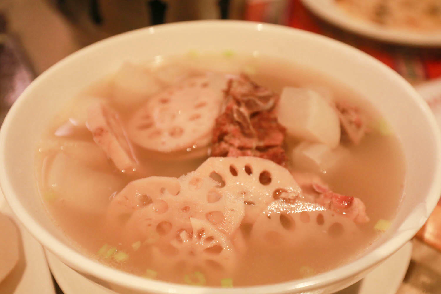 苗栗泰安｜日出溫泉渡假飯店。苗栗寵物友善飯店、一泊二食溫泉美食料理、露天風呂、寵物房型