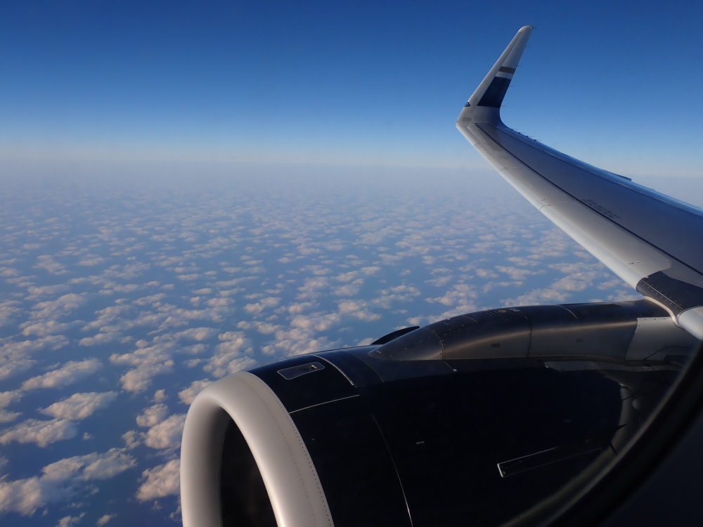 星宇航空STARLUX Airlines搭乘體驗。經濟艙、商務艙、隱藏版星宇特調、胡同燒肉飛機餐