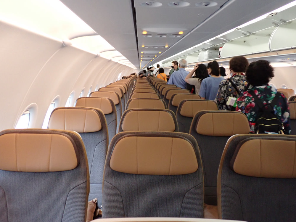 星宇航空STARLUX Airlines搭乘體驗。經濟艙、商務艙、隱藏版星宇特調、胡同燒肉飛機餐