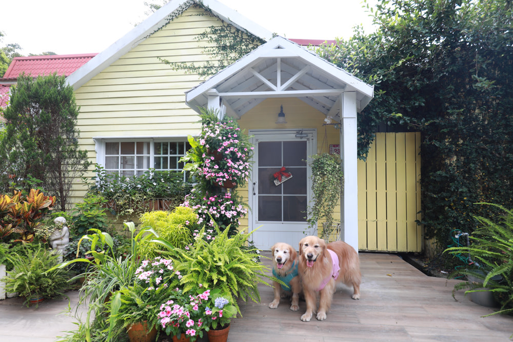 桃園復興|普拉多山丘假期景觀餐廳、南法鄉村風精緻民宿。南法鄉村童話小屋、寵物友善民宿餐廳、玻璃屋餐廳 - 第2張圖 桃園復興|普拉多山丘假期景觀餐廳、南法鄉村風精緻民宿。南法鄉村童話小屋、寵物友善民宿餐廳、玻璃屋餐廳