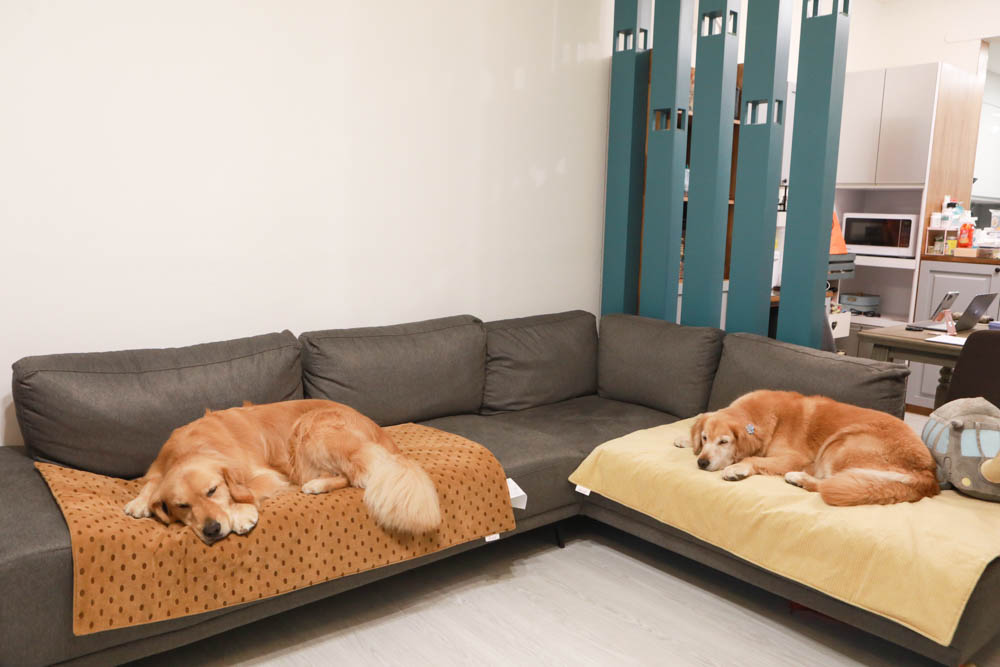 寵物睡墊｜ETERNO寵物萬用墊～遠紅外線升級版。寒冬老犬必備！寵物睡墊、沙發墊、旅行露營攜帶睡墊