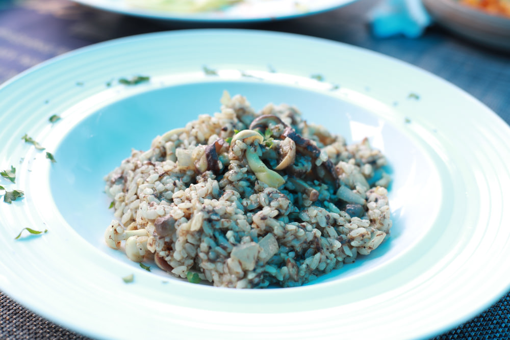 桃園龍潭美食|暖心廚房。寵物友善餐廳、異國料理餐酒館、威靈頓牛排、讀者送手作寵物舒芙蕾一份 - 第23張圖 桃園龍潭美食|暖心廚房。寵物友善餐廳、異國料理餐酒館、威靈頓牛排、讀者送手作寵物舒芙蕾一份