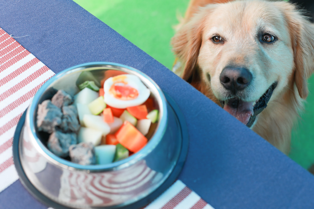 桃園龍潭美食|暖心廚房。寵物友善餐廳、異國料理餐酒館、威靈頓牛排、讀者送手作寵物舒芙蕾一份 - 第28張圖 桃園龍潭美食|暖心廚房。寵物友善餐廳、異國料理餐酒館、威靈頓牛排、讀者送手作寵物舒芙蕾一份