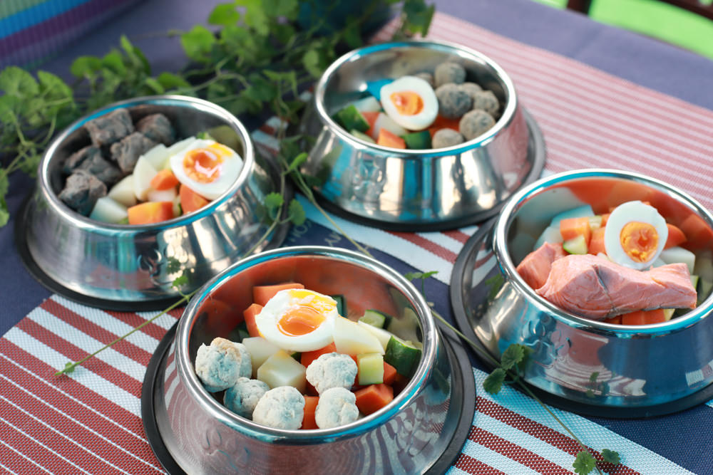 桃園龍潭美食|暖心廚房。寵物友善餐廳、異國料理餐酒館、威靈頓牛排、讀者送手作寵物舒芙蕾一份 - 第26張圖 桃園龍潭美食|暖心廚房。寵物友善餐廳、異國料理餐酒館、威靈頓牛排、讀者送手作寵物舒芙蕾一份