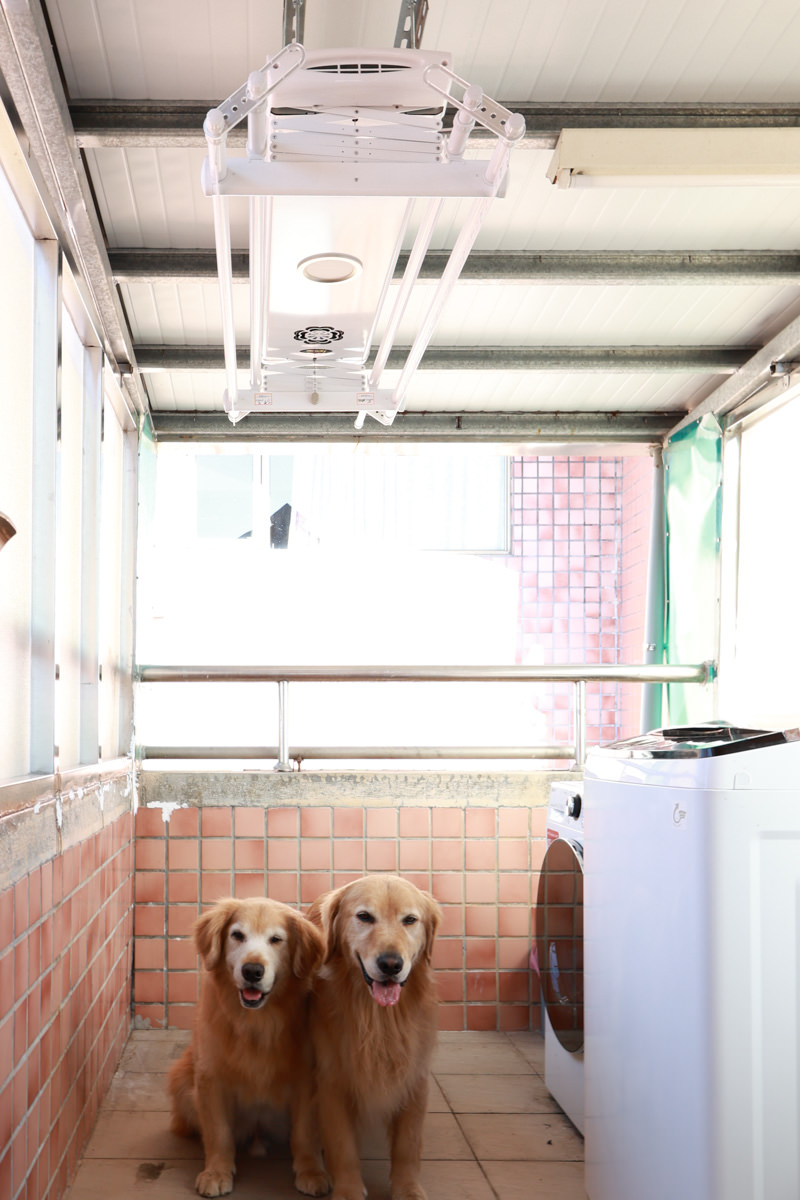 HCG和成豪華四桿款電動曬衣機。紫外線殺菌燈、遙控升降、寵物家庭居家晾曬大升級、陽台曬衣電動化 - 第31張圖 HCG和成豪華四桿款電動曬衣機。紫外線殺菌燈、遙控升降、寵物家庭居家晾曬大升級、陽台曬衣電動化