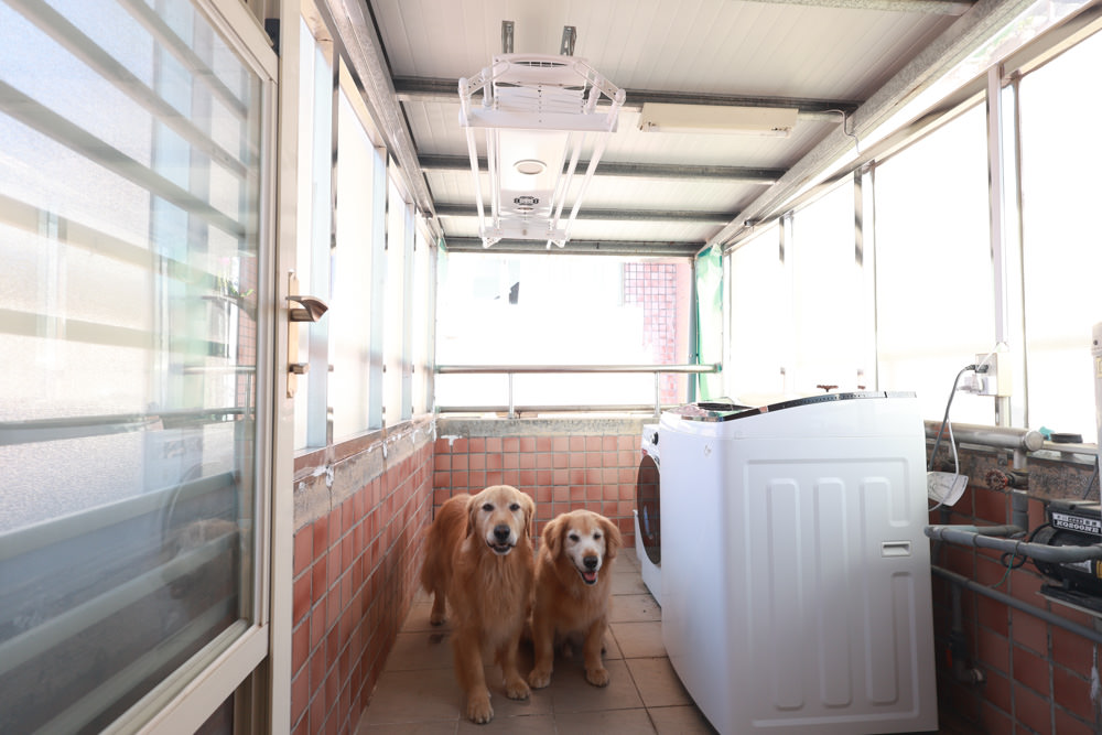 HCG和成豪華四桿款電動曬衣機。紫外線殺菌燈、遙控升降、寵物家庭居家晾曬大升級、陽台曬衣電動化 - 第1張圖 HCG和成豪華四桿款電動曬衣機。紫外線殺菌燈、遙控升降、寵物家庭居家晾曬大升級、陽台曬衣電動化