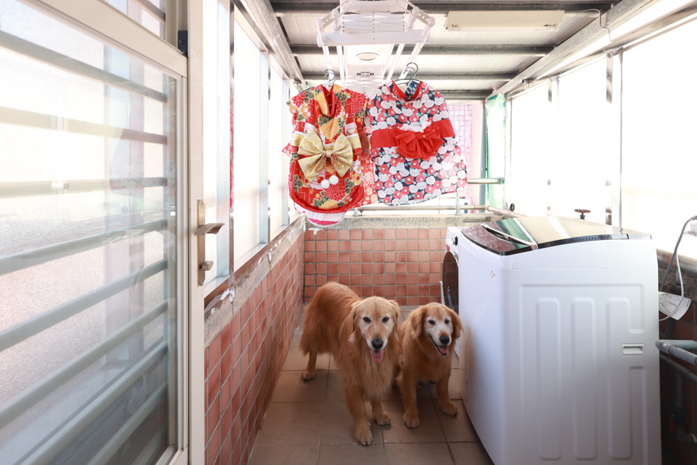 HCG和成豪華四桿款電動曬衣機。紫外線殺菌燈、遙控升降、寵物家庭居家晾曬大升級、陽台曬衣電動化 - 第33張圖 HCG和成豪華四桿款電動曬衣機。紫外線殺菌燈、遙控升降、寵物家庭居家晾曬大升級、陽台曬衣電動化